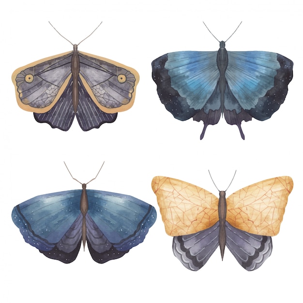 Conjunto de borboletas e mariposas em uma ilustração em aquarela de fundo branco