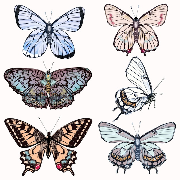 Conjunto de borboletas realistas vetoriais para design em estilo vintage