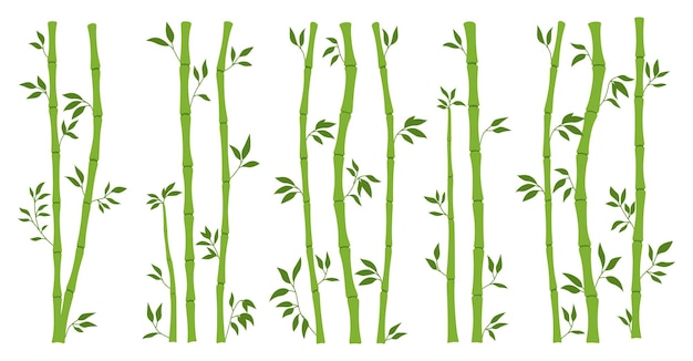 Conjunto de bordas de folha de feixe de caule de bambu spa exótico planta fresca folhagem folhas de árvore plana ramos galhos