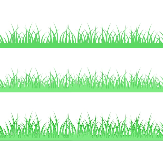 Conjunto de bordas sem costuras de grama verde de diferentes tipos sobre um fundo transparente