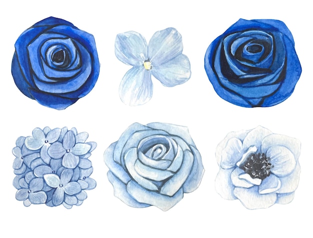 Conjunto de botões de flores azuis aquarela
