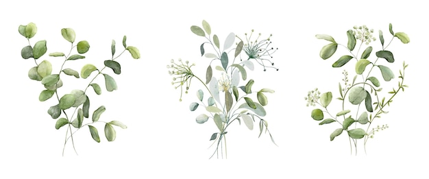 Conjunto de bouquets de aquarela de folhas verdes ramos elementos coleção vetor botânico isolado em fundo branco adequado para casamento convite salvar a data obrigado ou cartão de saudação
