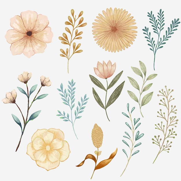 conjunto de buquê de flores e folhas de aquarela ilustração