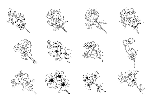 Conjunto de buquê de flores em estilo desenhado à mão