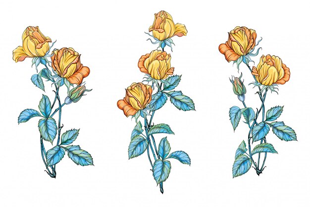 Conjunto de buquês de flores com rosas amarelas. rosas amarelas