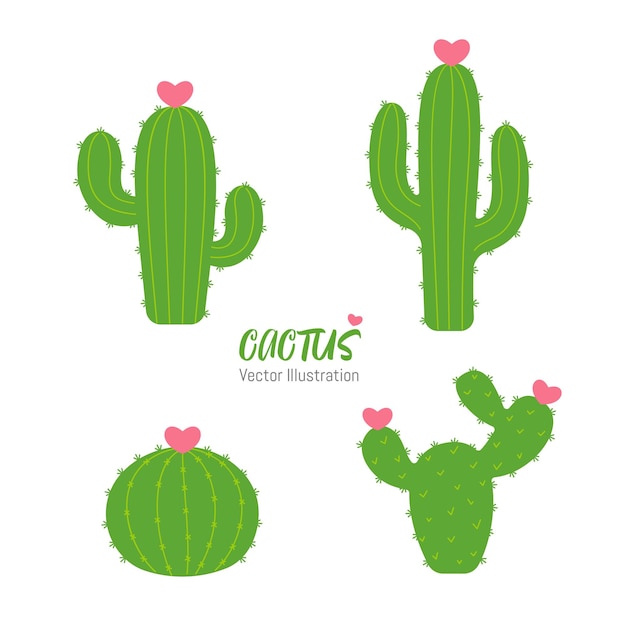 Conjunto de cactos com flor em forma de coração