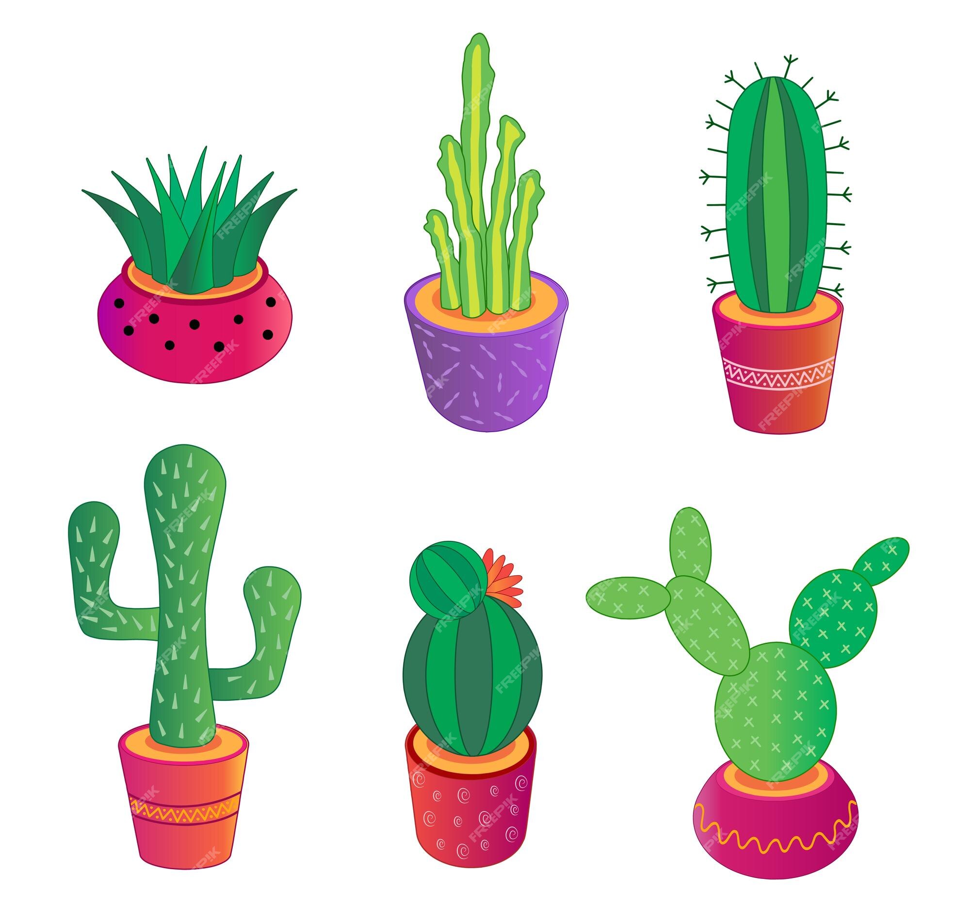 Conjunto de cactos em estilo simples de desenho animado isolado no fundo  branco. cactus em vasos e flores. cacto