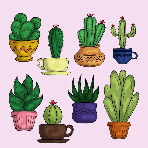 Conjunto de objectos decorativos com desenho de cactos e penas em