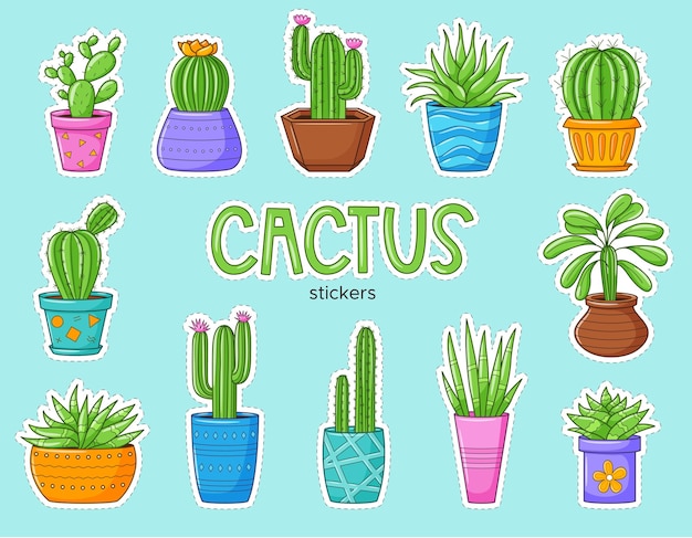 Vetor conjunto de cactos e suculentas engraçados dos desenhos animados coleção de adesivos com diferentes tipos de cactos patches com borda branca ilustrações vetoriais de cores com plantas domésticas pode ser usado como adesivo