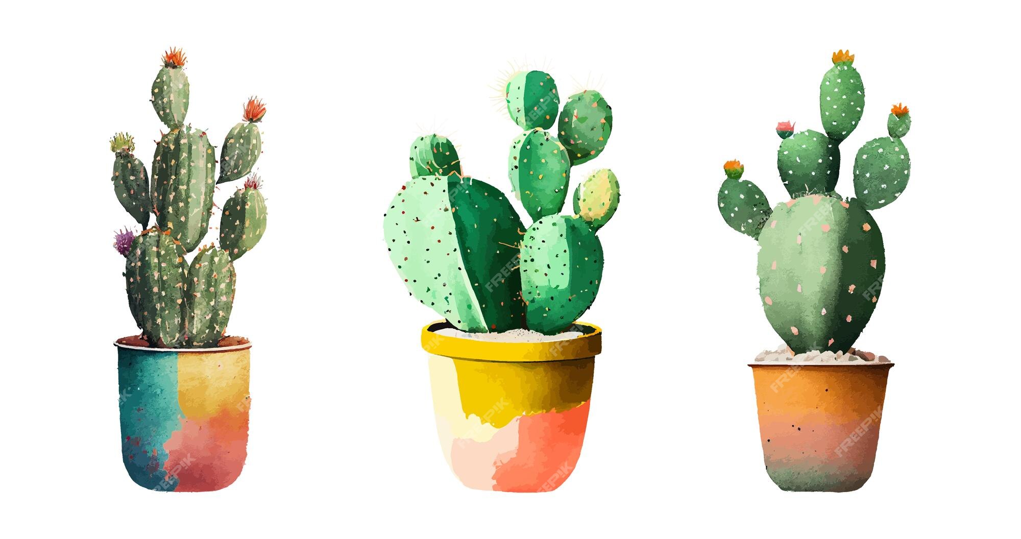 Conjunto de cactos em estilo simples de desenho animado isolado no fundo  branco. cactus em vasos e flores. cacto