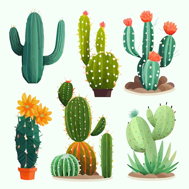 Vetor conjunto de cactos em estilo simples de desenho animado isolado no fundo branco. cactus em vasos e flores. cacto