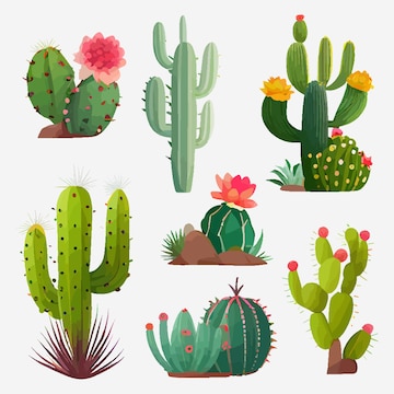 Conjunto De Cactos De Desenho Animado Bonitos Na Floreira Isolados Em Fundo  Branco Ilustração Stock - Ilustração de fundo, potenciômetro: 161587882