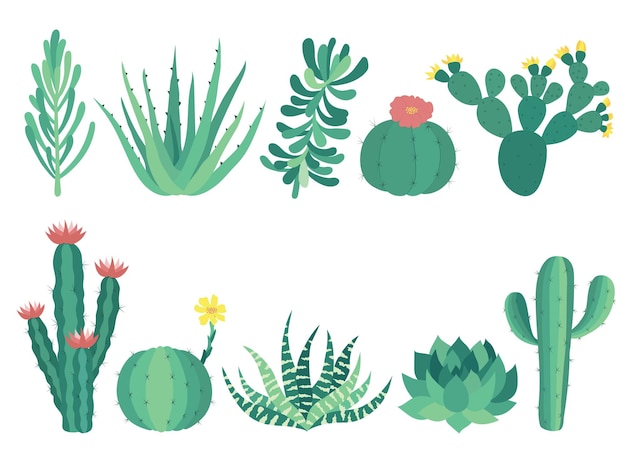 Vetor conjunto de cactos em vasos ilustração de suculentas vetoriais isolada em fundo branco plantas de desenho animado bonito