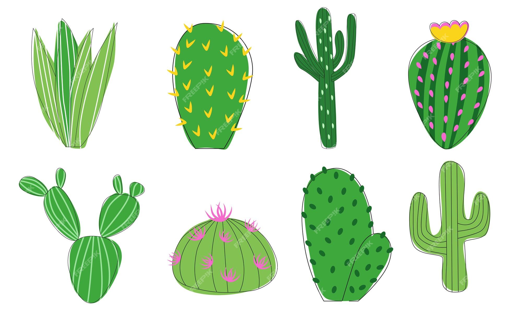 Ícone De Ilustração Do Vetor De Planta Do Cactus Ilustração do Vetor -  Ilustração de decorado, liso: 161261048