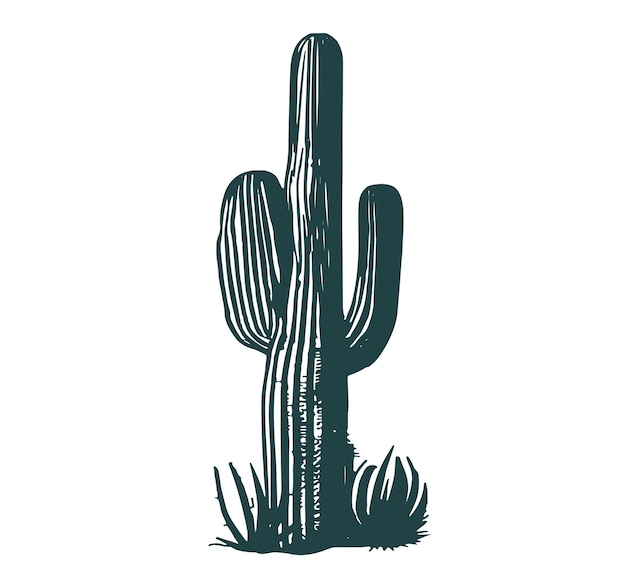 Conjunto de cactos ilustrações desenhadas à mão, vetor