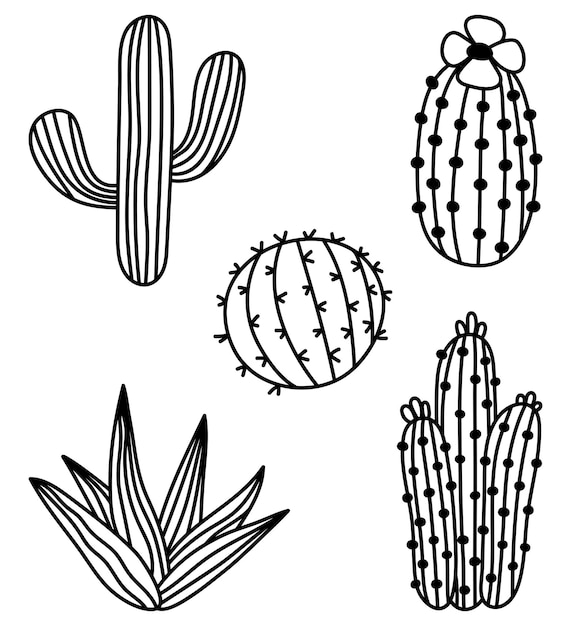 Conjunto de cactos isolados desenhados à mão ícones de cactos de rabiscos vetoriais ilustração de suculentas de contorno