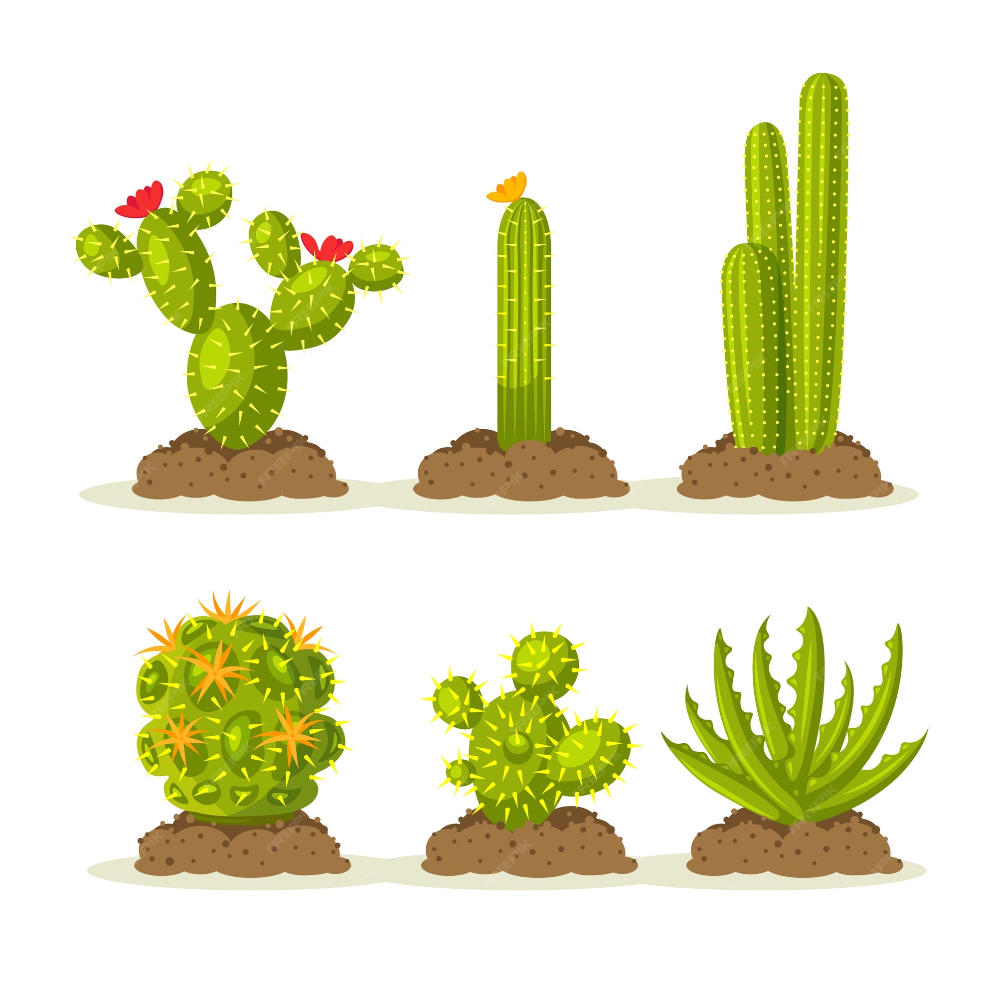 Conjunto De Cactus Desert Cactos Flores Vetor Ilustração Stock - Ilustração  de aloés, isolado: 231350589