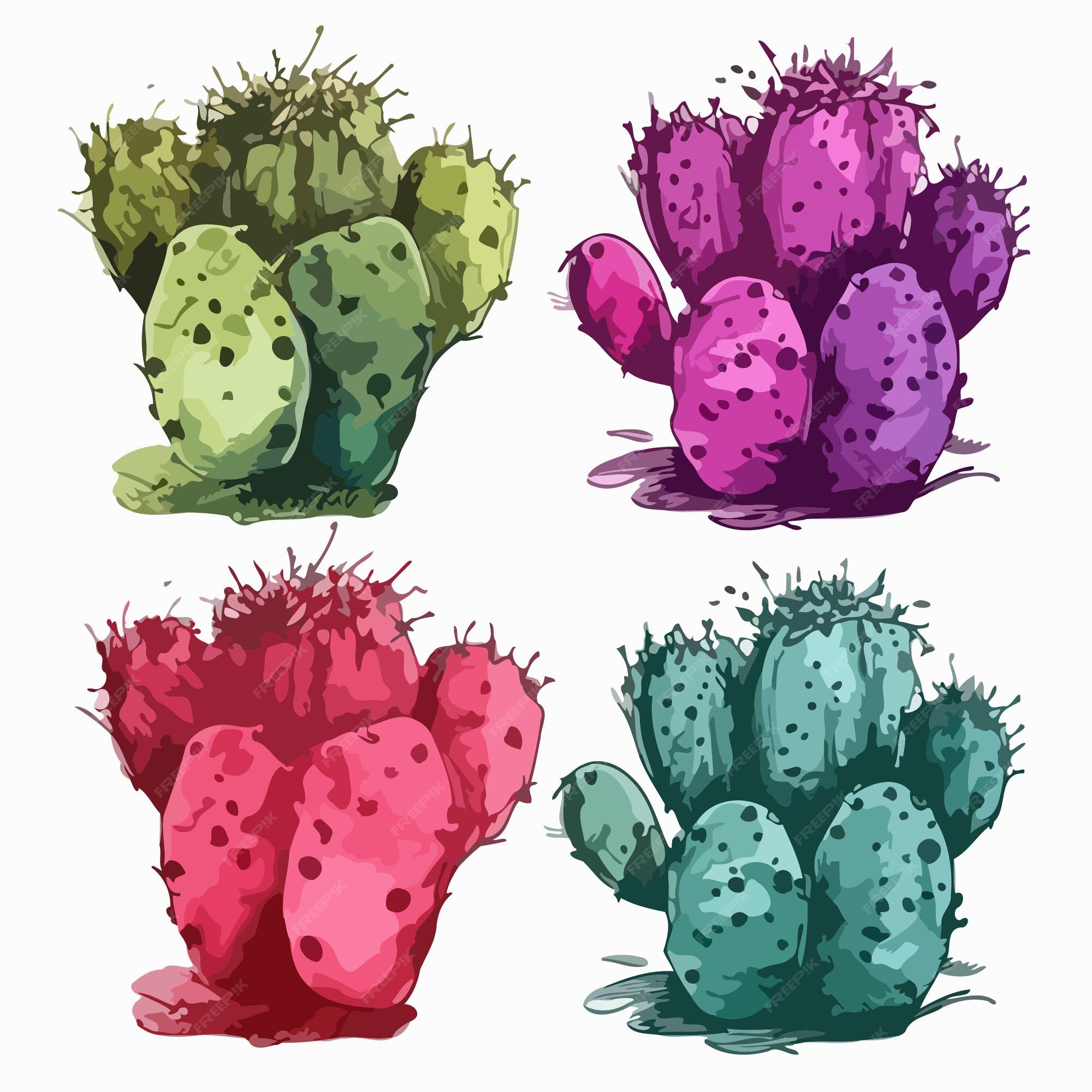 Prickly pear cactus  Arte com cactos, Fotos de cactos, Pintura de cacto