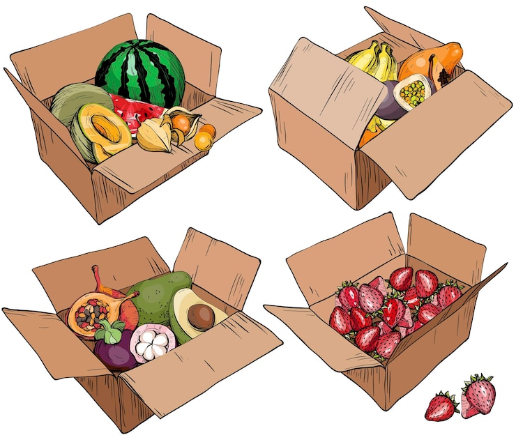 Vetor conjunto de caixa de papelão com várias frutas