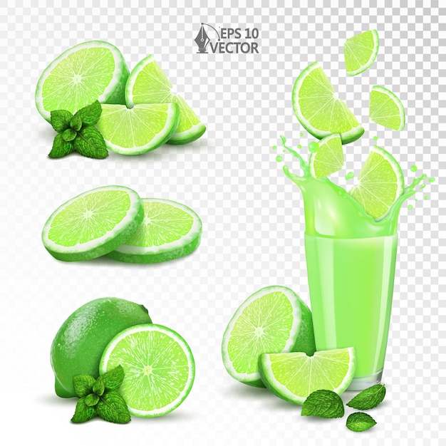 Vetor conjunto de cal vector salpico realista suco fresco em vidro folhas de hortelã mojito ilustração de alimentos isolados