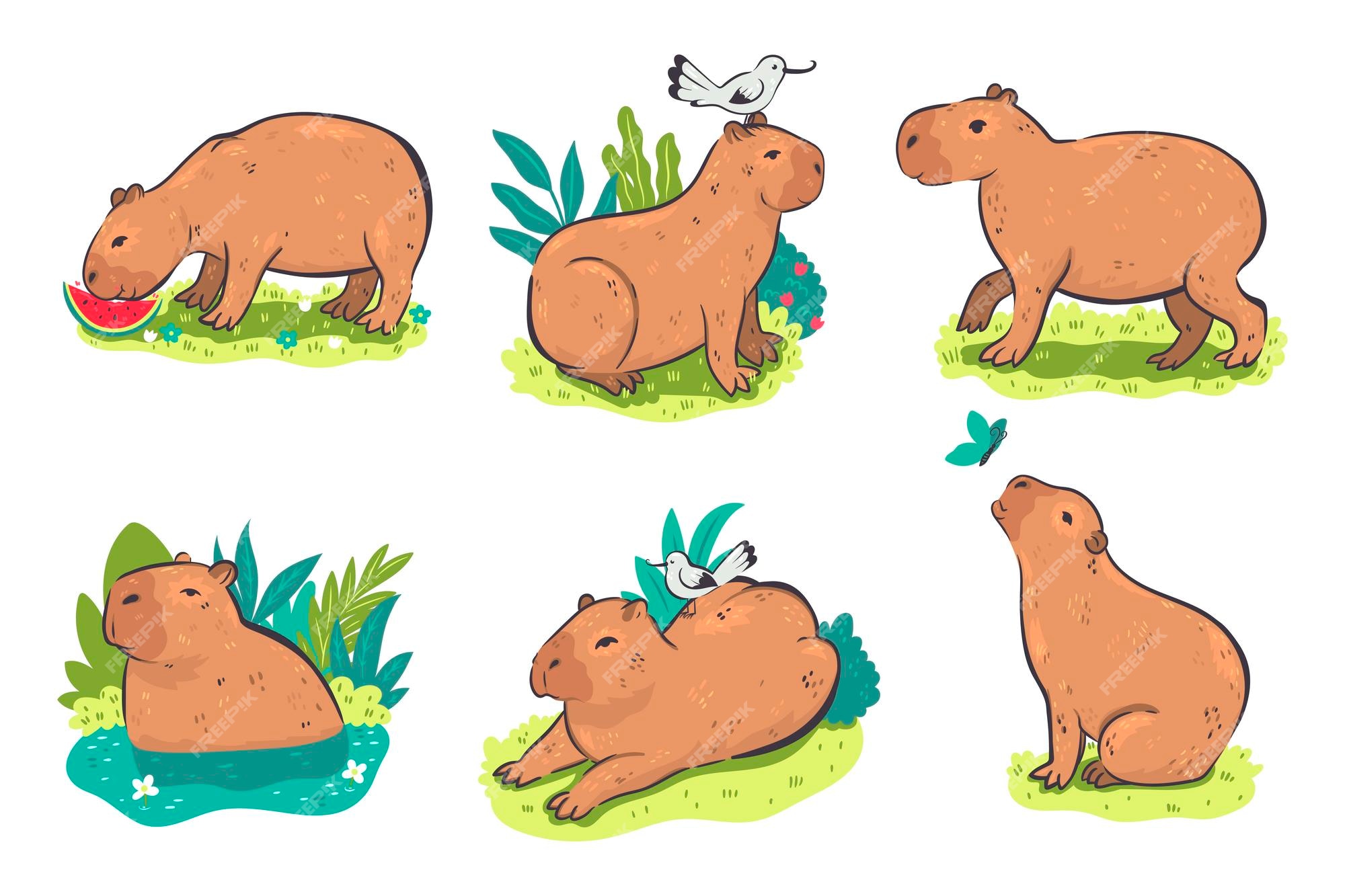 desenho de capivara fofo