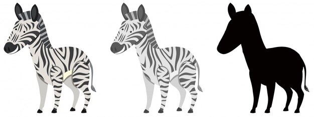 Conjunto de caracteres de zebra