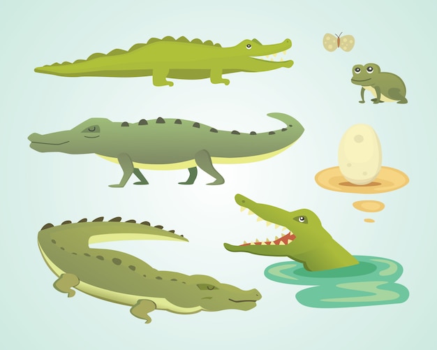 Conjunto de caracteres fofos de crocodilo. ilustração do desenho do aligator