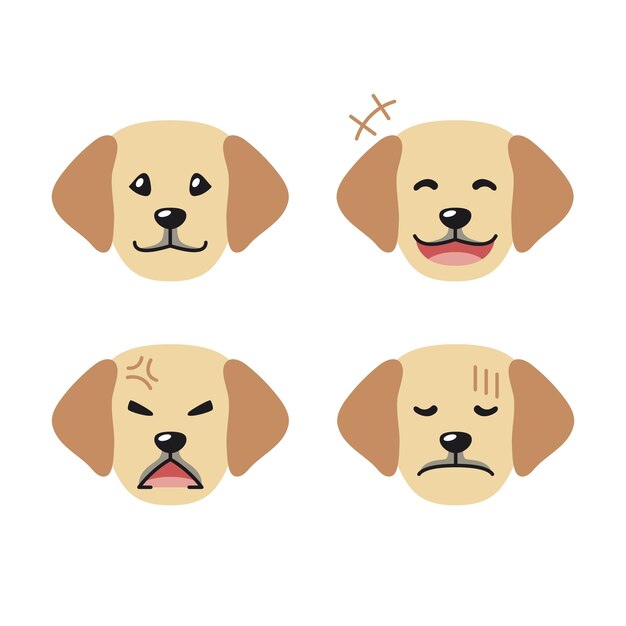 Conjunto de caras de cães labrador retriever com diferentes emoções
