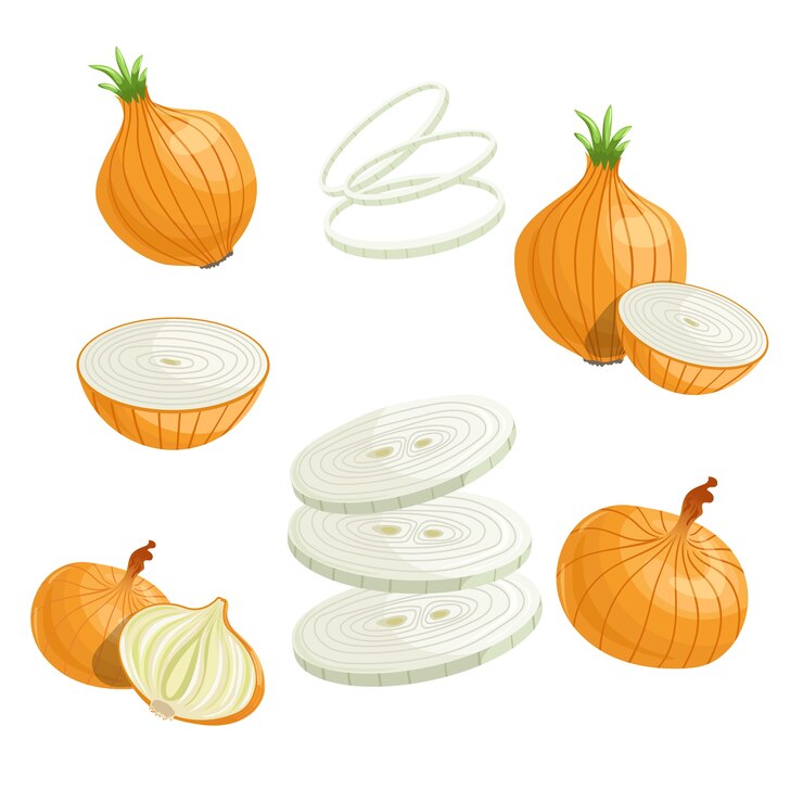 Conjunto de cebolas de desenho animado. Cebola inteira, cortada, rodelas de cebola. simples. ilustração de vegetais frescos de fazenda orgânica. sobre fundo branco.