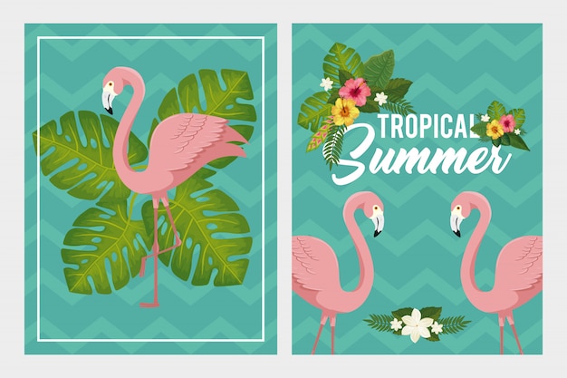 Vetor conjunto de cenas de ilustração de verão tropical com flamingos e flores