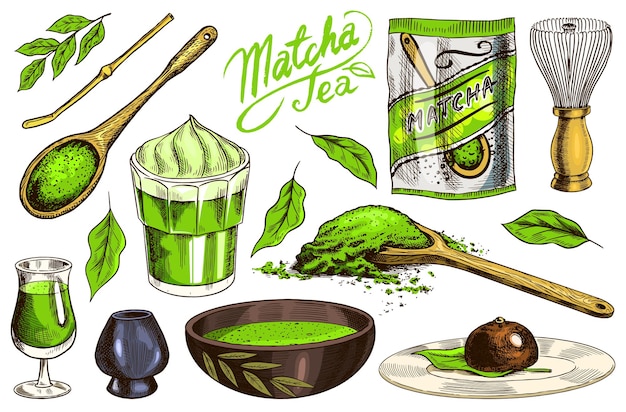 Vetor conjunto de chá verde matcha pó orgânico batedor de bambu tigela chawan colher chashaku para cerimônia japonesa latte de leite de coco saudável gravado à mão desenhado esboço vintage para pôster