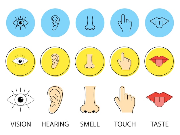 Conjunto de cinco sentidos humanos. visão olho, olfato nariz, ouvido auditivo, toque na mão, prove boca com a língua. ilustração. ícones de linha simples.