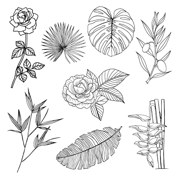 Conjunto de clipart de flora de arte de linha de flores e folhas