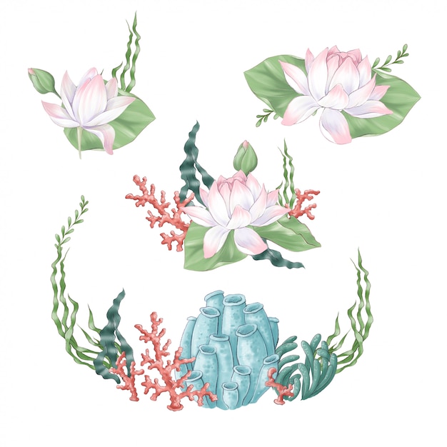 Conjunto de clipart digital flores e buquês de lótus e algas