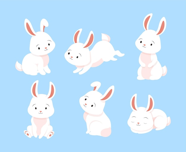 Conjunto de coelhos brancos