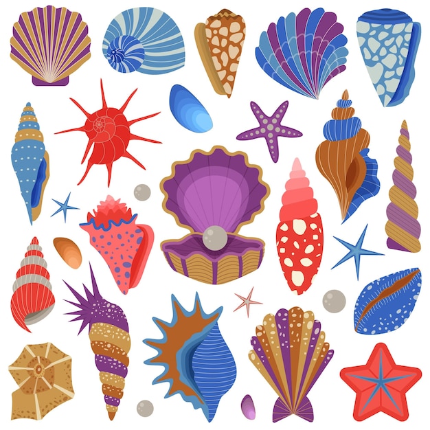 Conjunto de coleção de conchas e estrelas do mar