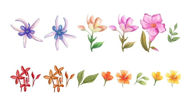 conjunto de coleção de flores e folhas em aquarela ou cartão comemorativo