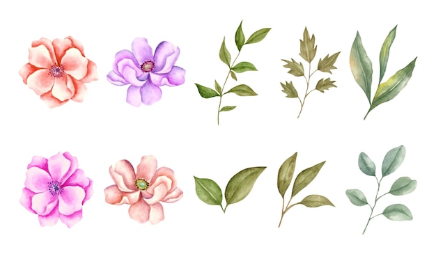 Conjunto de coleção de flores e folhas em aquarela para desenho de buquê