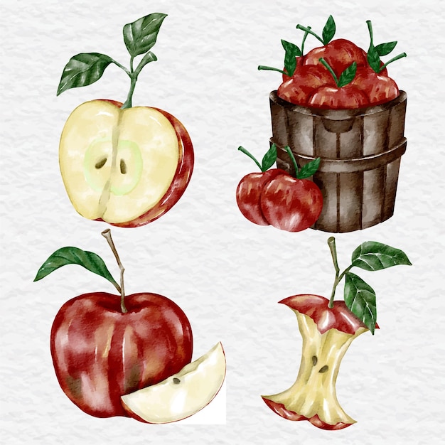 Conjunto de coleção de maçã vermelha em aquarela clipart