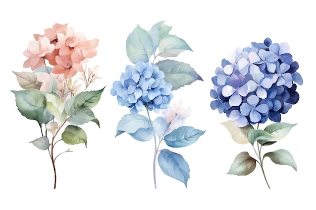 Vetor conjunto de coleção decorativa botânica de flores natureza ilustração vetorial coleção isolada conjunto de folhas tropicais