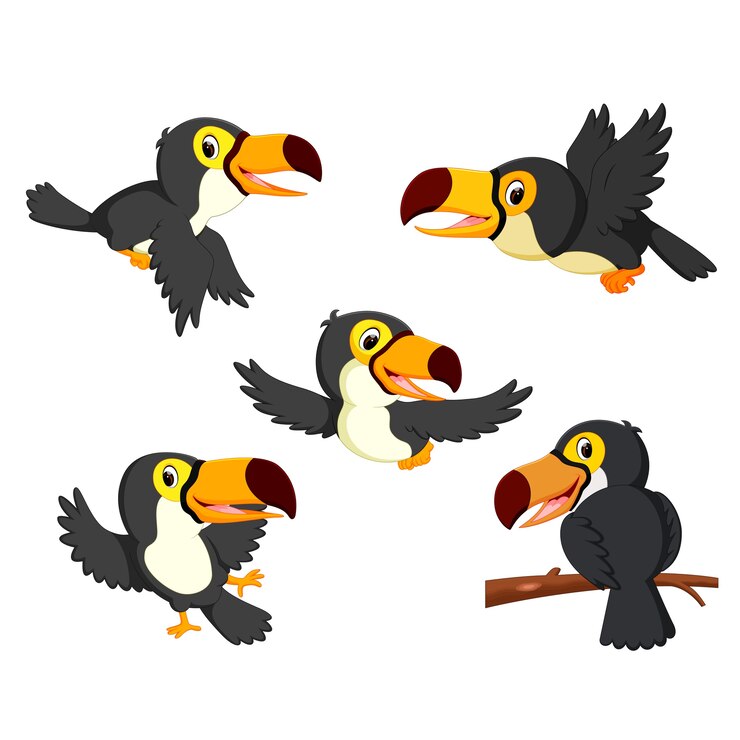 conjunto de coleta de desenhos animados de Tucano