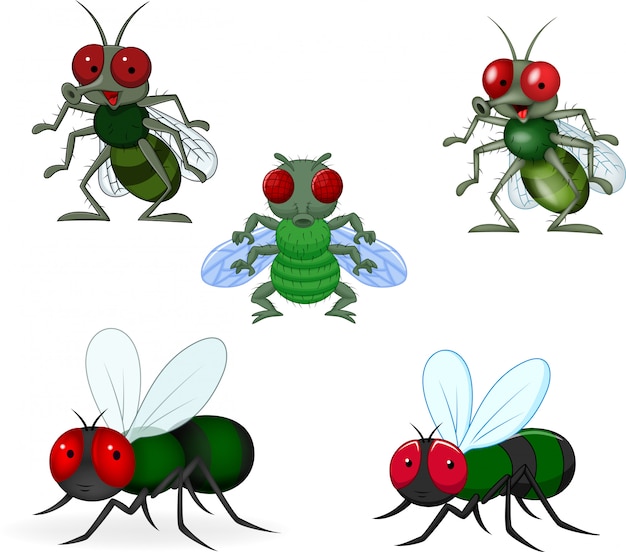 Conjunto de coleta de mosca verde dos desenhos animados
