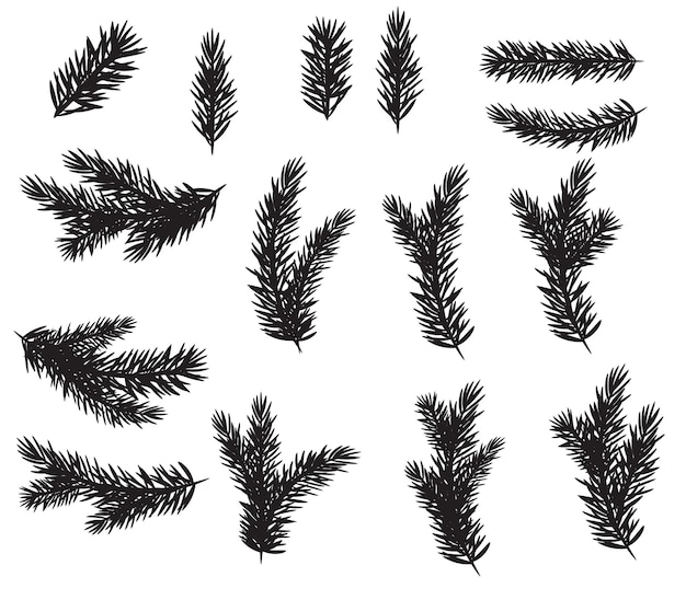 Conjunto de coleta de silhueta de ramos de abeto realista para árvore de Natal, pinho. Ilustração vetorial EPS10