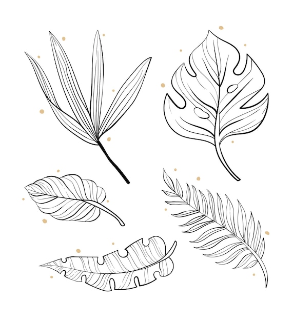 Vetor conjunto de contorno de ícones de folhas tropicais vetoriais