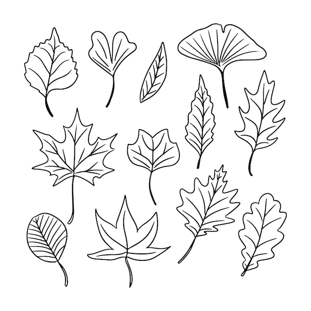 Conjunto de contornos desenhados à mão de folhas de outono