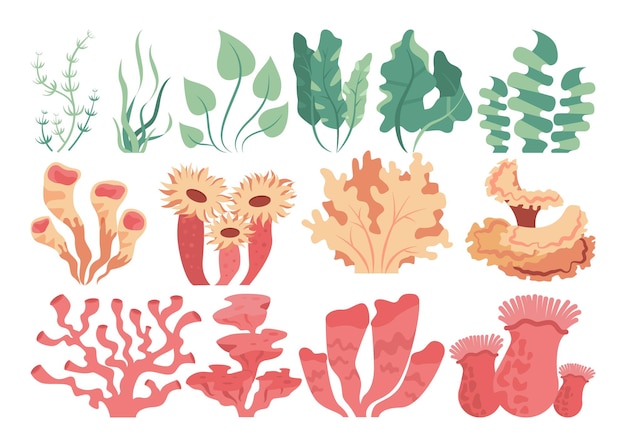 Conjunto de corais do fundo do mar e algas marinhas. lindos animais e plantas do mundo subaquático. natureza de paisagem tropical. ilustração vetorial plana