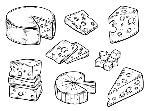Conjunto de desenho de linha de degustação de queijo