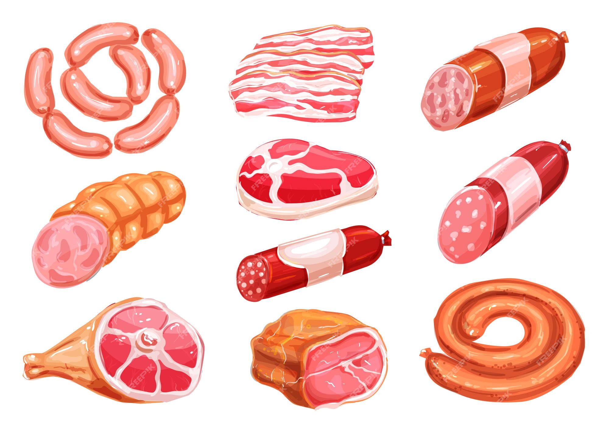 Frescamente Grelhado, Salsicha De Carne Processada De Churrasco, Ilustração  Vetorial Estilo Esboço No Fundo Branco. Desenho Realista Da Mão De Salsicha  Alemã Grelhada, Fritada Em Fogo Aberto, Churrasco, Comida De Piquenique  Royalty