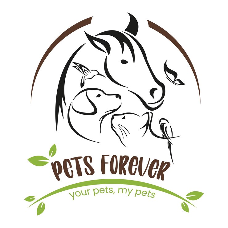 Vetor conjunto de desenho vetorial de animais bonitos ou outro uso