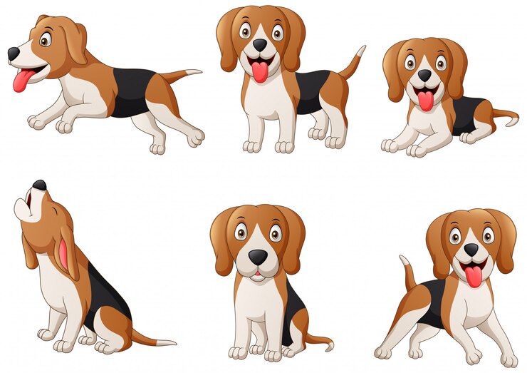 Vetor conjunto de desenhos animados de cachorro beagle. ilustração